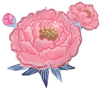 Flower Balloons