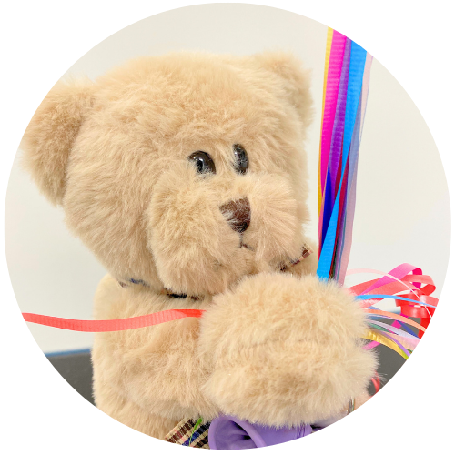 Plush Stuffed Animals