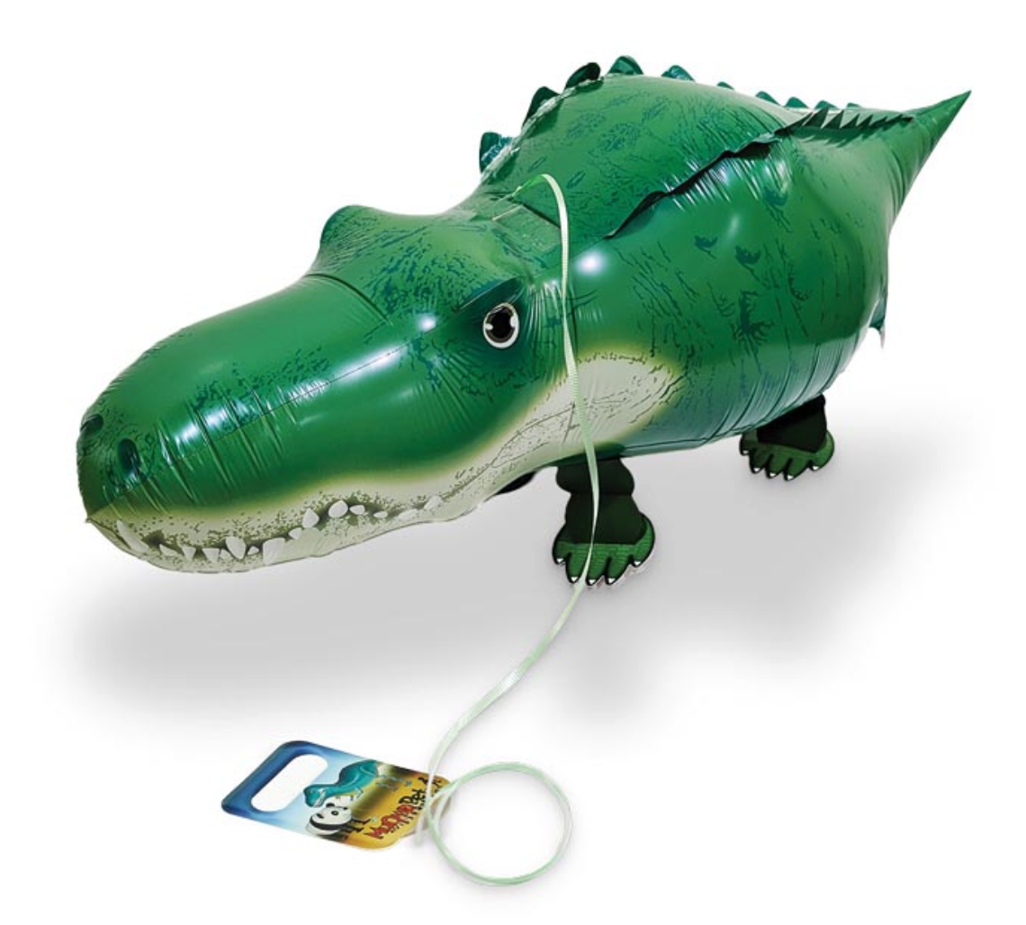 Alligators & Crocodiles