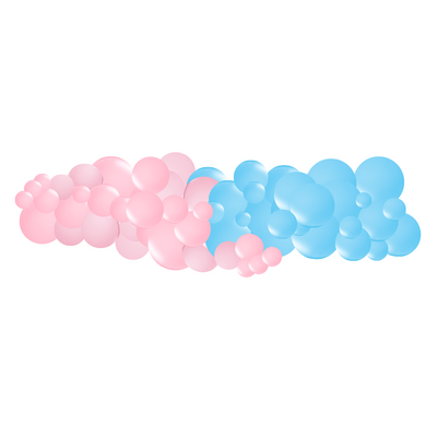 Gender Reveal Garlands