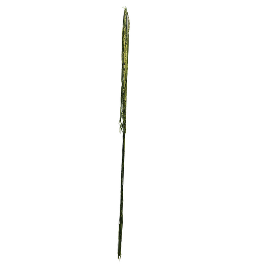 Lime Hanging Streamer Balloon Tails