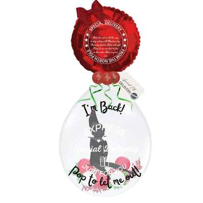 Naughty Elf Special Delivery Poem Balloon