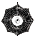 Spider Web Hallow Foil Balloon (33 Inch)