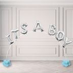Baby Gender Letter Phrase Sets