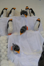 My Own Pet Baby Penguin