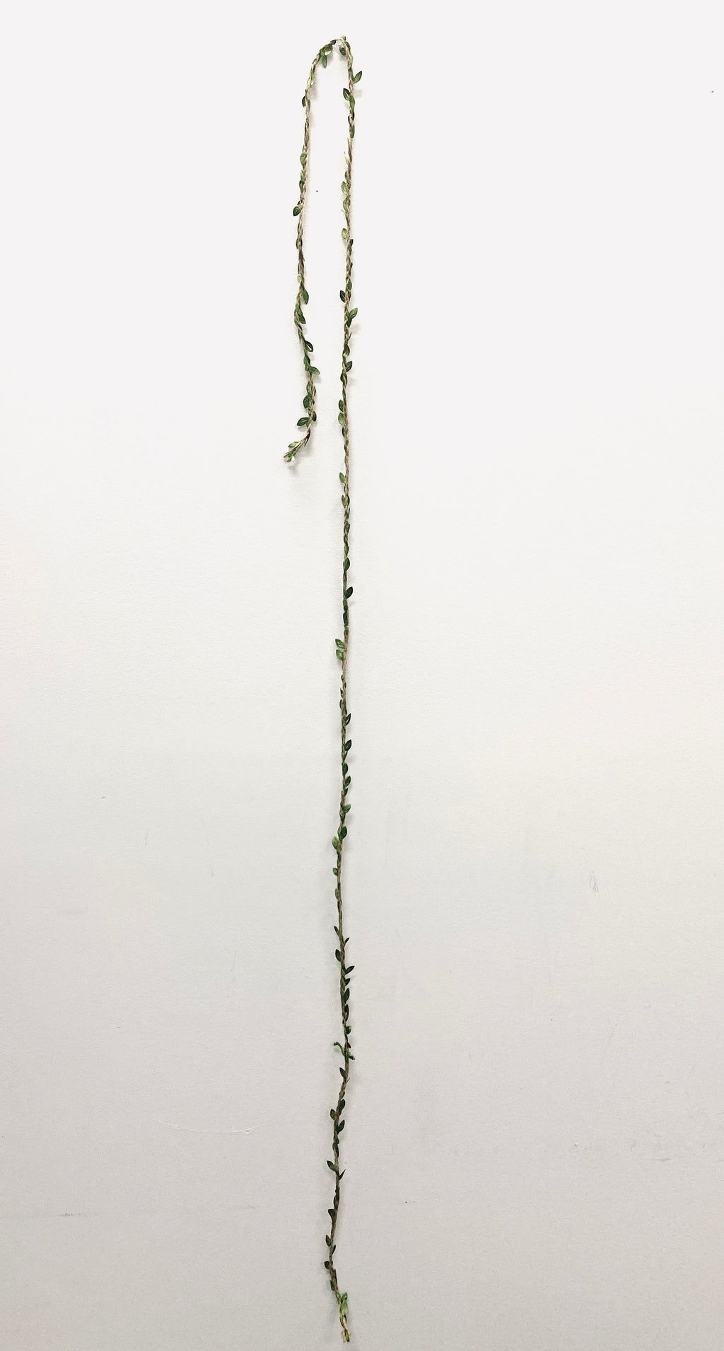 Braided Twine & Leaves Balloon Tail