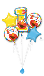 Sesame Street 1st Birthday Bouquet Kit