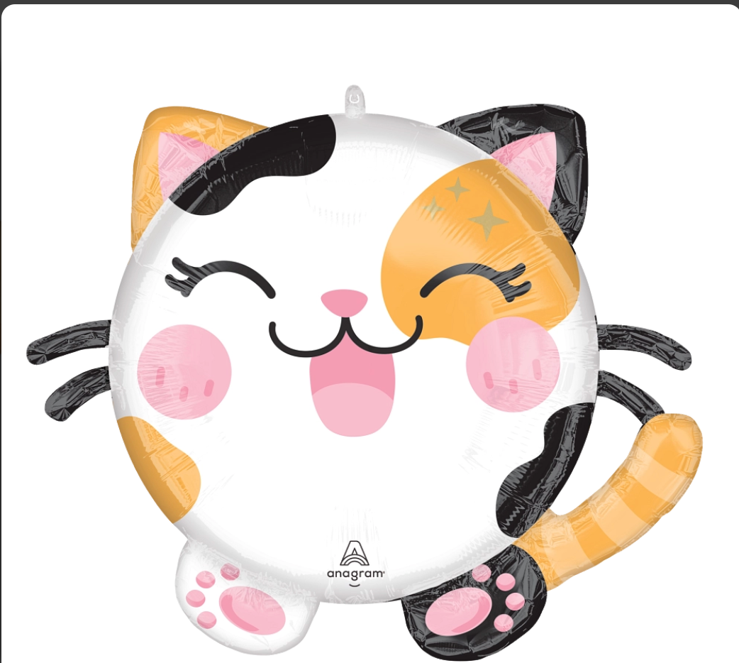 Roly Poly Happy Kitten Foil Balloon (20 Inch)