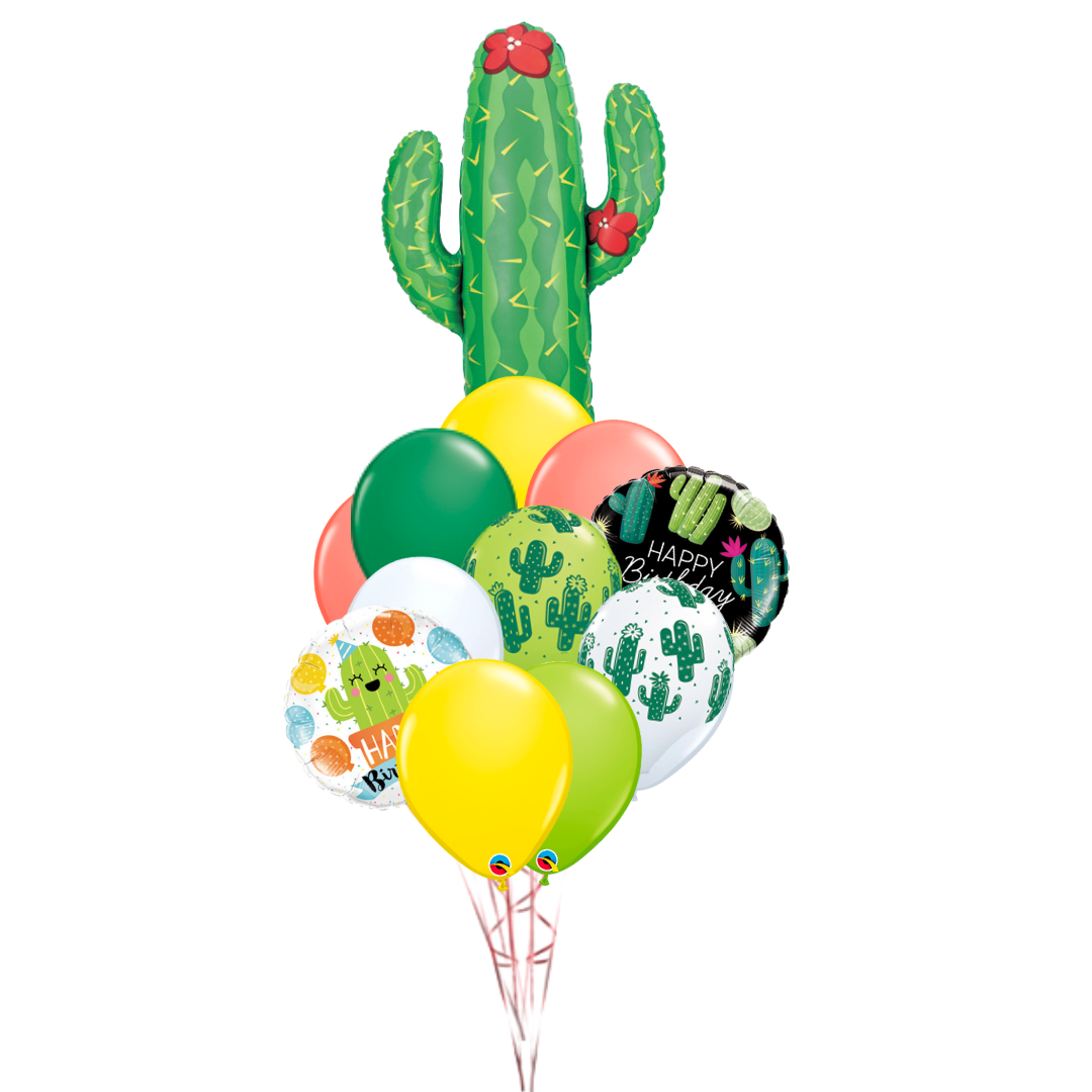 HBD Cactus Gift Bouquet
